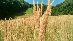 Tip na minivýlet: Rozhledna Panorama