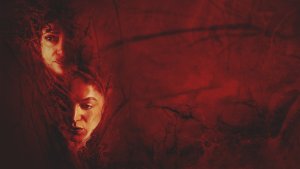 Netflix tip: Birth / Rebirth