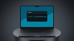 Tipy pro Linux: Zjištění veřejné IP adresy